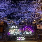 北と南の橋にネオン看板があります♪