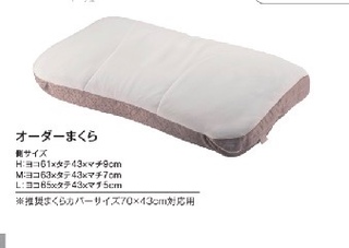 羽毛肌掛けふとん最終処分SALE30%OFF！！！｜nishikawa -ニシカワ-の