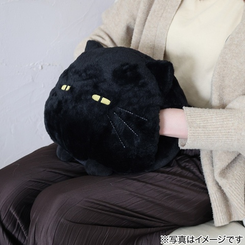 手入れクッション｜ニトリ デコホームのショップニュース｜グンゼ