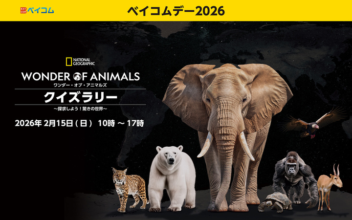 2/15 クイズラリー